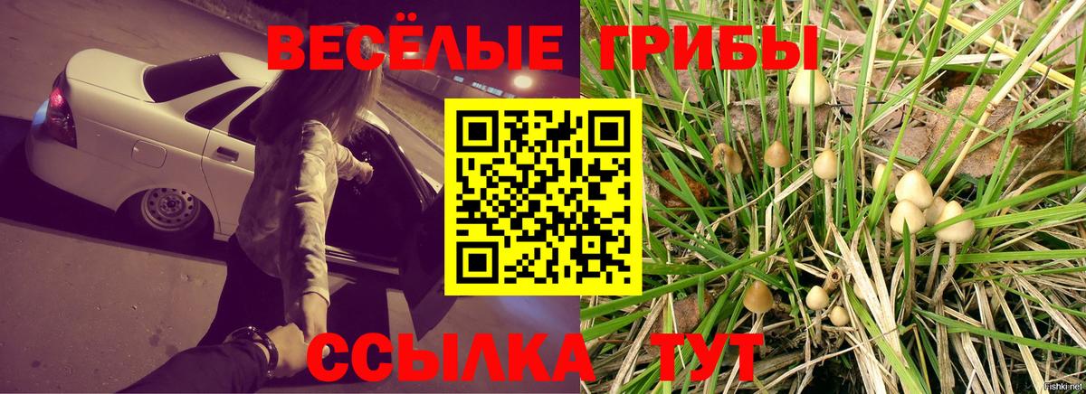 Псилоцибиновые грибы GOLDEN TEACHER Сальск