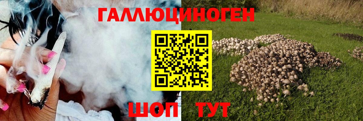 Сальск  Галлюциногенные грибы Magic Shrooms  Вход с VPN  Галлюциногенные грибы Magic Shrooms 
